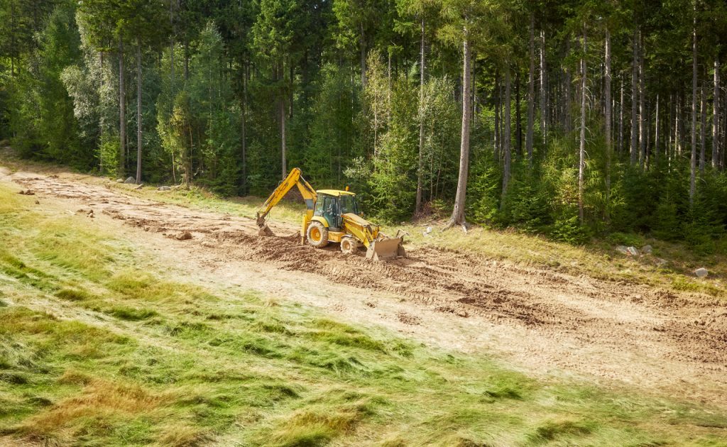 Outdoor venues like Avalanche Adventure offer JCB digger driving experiences.
